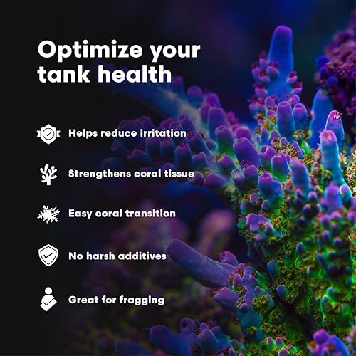 Brightwell Aquatics MediCoral - Coral Dip for New Coral Additions and to Benefit Established Corals , 30-ml