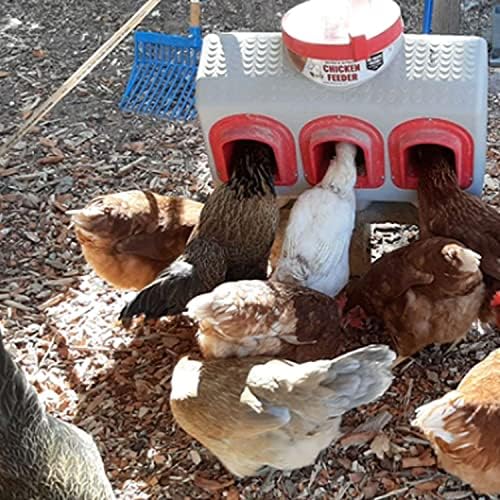 OverEZ Chicken Feeder - Holds 50 Pounds of Feed - Inside or Outside Hen Coop - Large Gravity Fed Automatic Poultry Dispenser - No Waste Rainproof