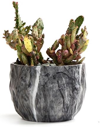 SE SUN-E Sun-E Modern Style Marbling Ceramic Flower Pot Succulent/Cactus Planter Pots Container Bonsai Planters with Hole 3.35 Inch Gift Idea(4 in