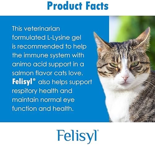 Immune System Support for Cats - Amino Acid L-Lysine - Produce Antibodies - Healthy Tissue, Respiratory Health, Vision - 60 Soft Chews