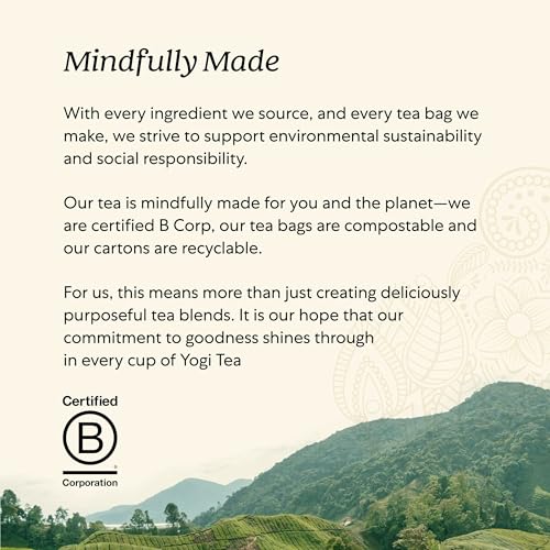 Yogi Tea - Green Tea Super Antioxidant (6 Pack) - Organic Green Tea Blend to Support Overall Health - 96 Tea Bags