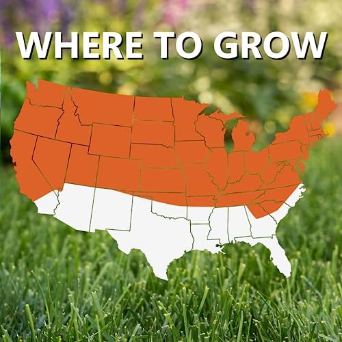Jonathan Green (10765) Black Beauty Fall Magic Grass Seed - Cool Season Lawn Seed (3 lb)