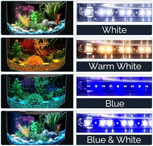 Koller Products Plastic 3-Gallon Aquarium Starter Kit with 4 Colors LED Lighting and Complete Filtration, Ideal for a Variety of Tropical Fish