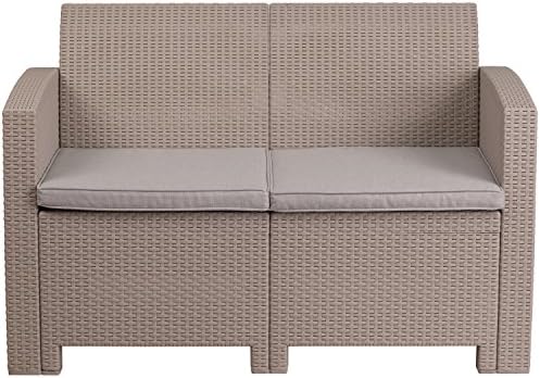 EMMA + OLIVER Light Gray Faux Rattan Loveseat with Light Gray Cushions