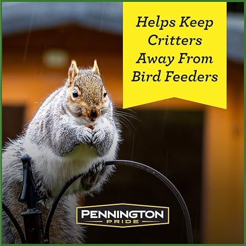 Pennington Squirrel & Critter Blend with Sunflower, Corn & in Shell Peanuts | 10-lb bag, Corn, sunflower seeds