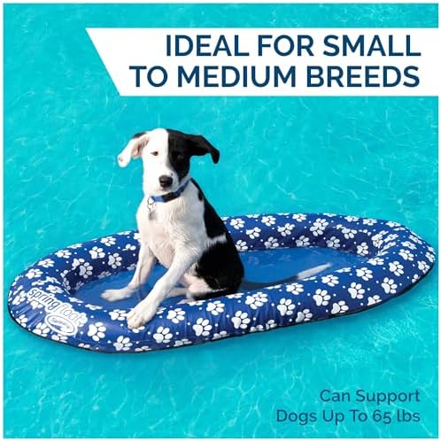 SwimWays Paddle Paws Spring Float Dog Raft, Small (0-65 lbs.) | Fast Inflation for Fast Use During Travel, Durable Scratch-Resistant Design for Use with Dogs, Includes Carrying Case