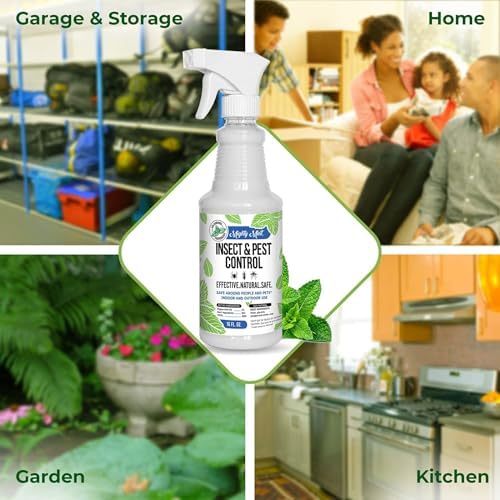 Mighty Mint Peppermint Oil Insect Repellent Spray, 16 oz | Natural Indoor & Outdoor Bug Control for Spiders, Ants, Roaches, Plant-Based, Extra-Strong Formula with Microfiber Cloth