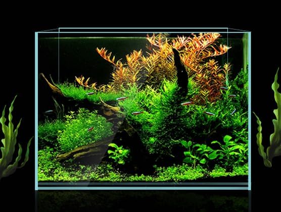 9.5 Gal Rimless Low Iron Glass Aquarium Tank, (17.7" L × 11" W × 11.8" H/ 45cm x 28cm x 30cm), 5mm Thickness Standard Jointed