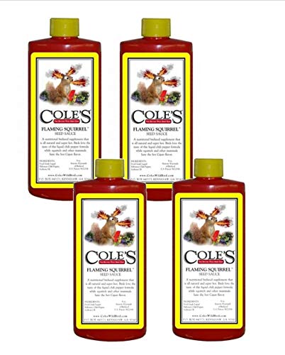 Cole's Flaming Squirrel Seed Sauce
