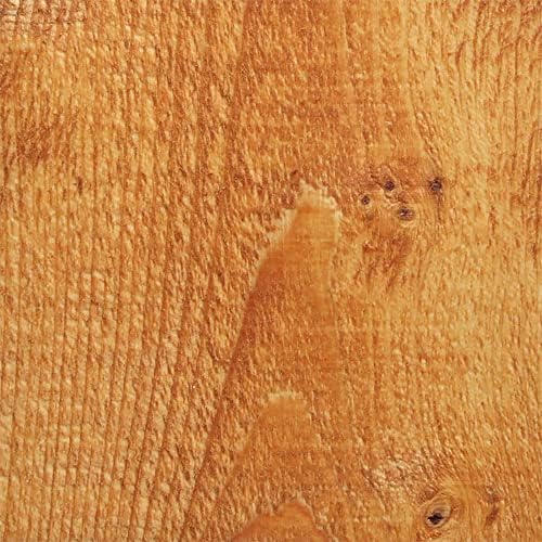Wood Defender Transparent Fence Wood Stain and Seal in One, Oil-Based Penetrating Sealer, Professional-Grade, Long-Lasting