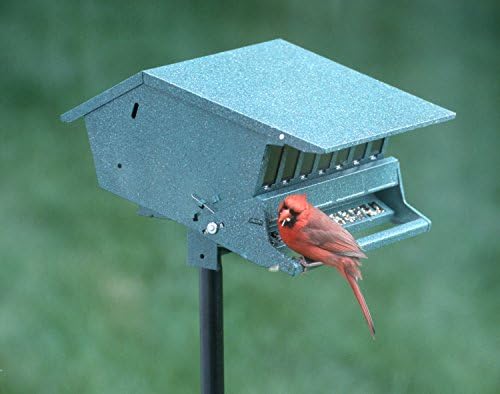 Audubon Bird's Delight Squirrel Resistant Bird Feeder Model 7511i
