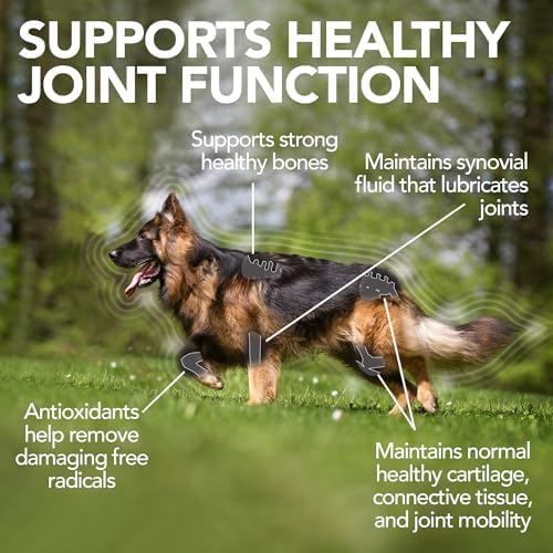 Vet's Best Advanced Hip & Joint Supplement for Dogs, Glucosamine, 50 Count | Glucosamine & Chondroitin Formula, Supports Joint Mobility