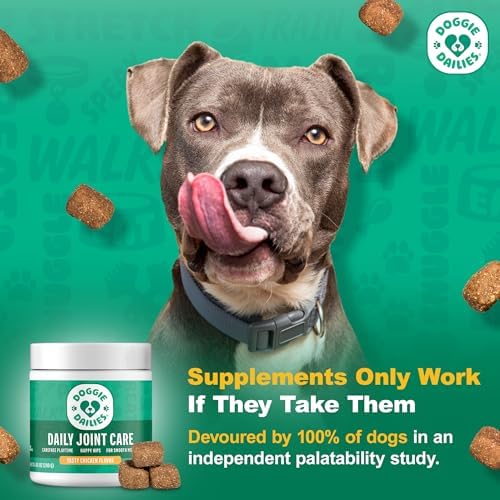 Doggie Dailies Hip & Joint Chews for Dogs, Chicken, All Breeds, 225 Count | Glucosamine & Chondroitin Supplement, Supports Joint Health & Mobility, Soft Chews for Dogs of All Breeds & Sizes