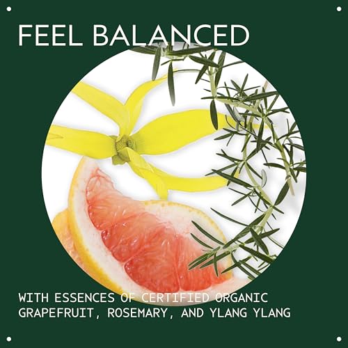 Aveda Chakra 5 Balancing Pure-Fume Mist: Throat | Body & Room Spray | Balances Throat Chakra | With Certified Organic Grapefruit, Rosemary