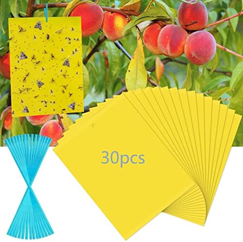 40 Pack Fungus Gnat Traps, Yellow Sticky Fruit Fly Traps for Indoor Plants