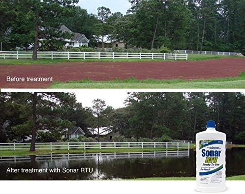 All-in-One Vegetation Control Bundle - Knock Down Algae Effectively & Control Weeds Systemically (Cutrine Plus + Sonar RTU)