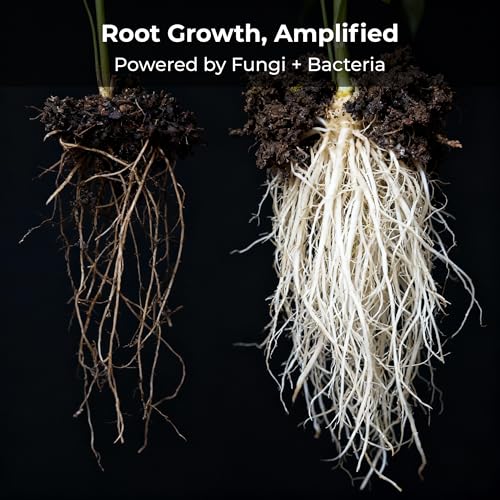Real Growers Recharge 16oz – Mycorrhizae & Soil Microbes Instant Compost Tea for Root Growth, Transplant Support & Nutrient Uptake