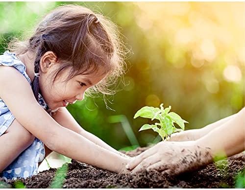 Purple Cow Organics Seed Starter 12 Quart Bag, All Natural and Organic, Fast Seedling Germination, Grows Strong Roots for Indoor Gardens
