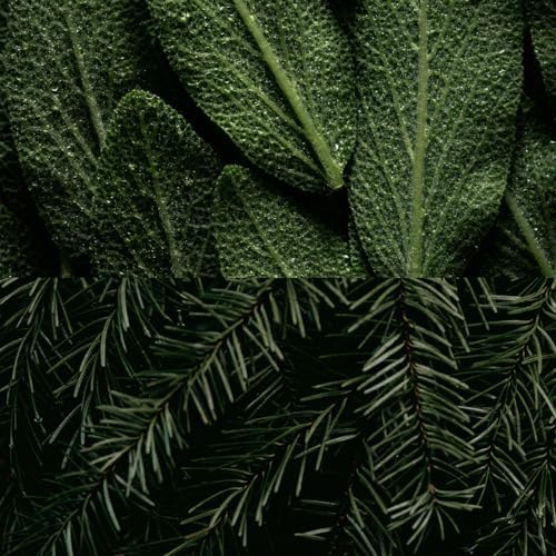 MARLOWE. Body Scrub Soap, Exfoliating Soap Bar, Sage + Fir, 7 oz | Scrub Soap Bar that deeply cleanses and exfoliates while buffing away rough, dry skin. Original Sage + Fir scent.
