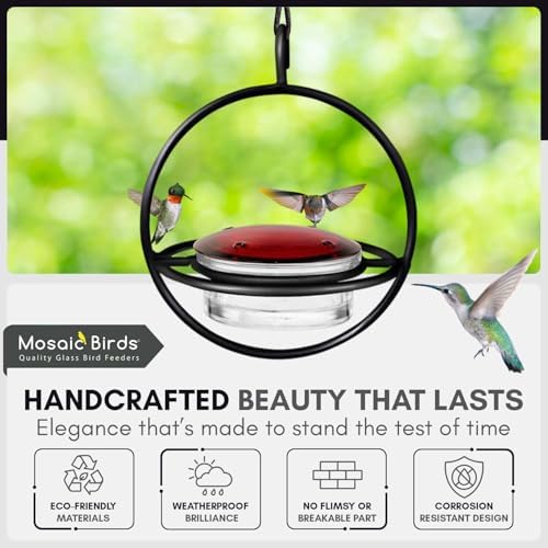 Hummingbird Feeder for Outdoors Hanging, 3.4 OZ Hummingbird Feeders, Glass Bowl with 4 Feeding Ports, Leak Proof Lid & Circular Perch, Bird Feeder (1, Red)