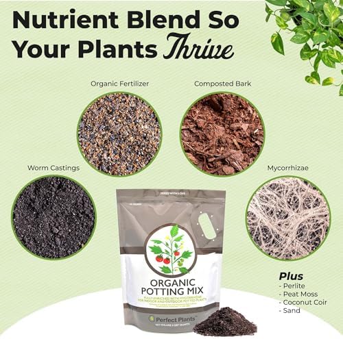 Perfect Plants Organic Potting Soil, 8 qt, Indoor Outdoor Mix for Veggies | Coconut coir, peat and perlite with mycorrhizae and worm castings