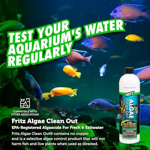 Fritz Aquatics Algae Clean Out - Algaecide for Fresh and Salt Water Aquariums, 16 oz