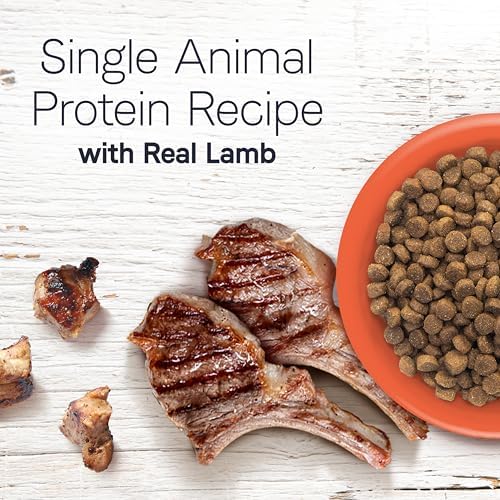 Canidae Under the Sun Premium Dry Dog Food For Puppies, Adults and Senior Dogs, Whitefish Recipe, 23.5 lbs, Grain Free