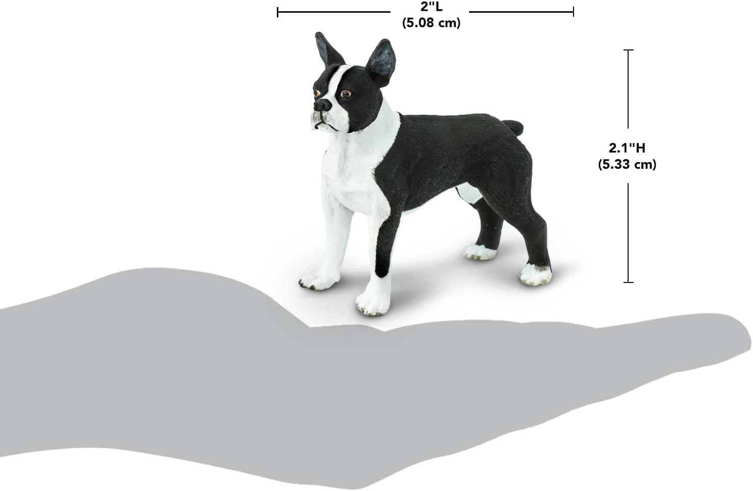 Safari Ltd. Boston Terrier Figurine - Lifelike 2.5" Model Figure - Educational Toy for Boys, Girls, and Kids Ages 3+