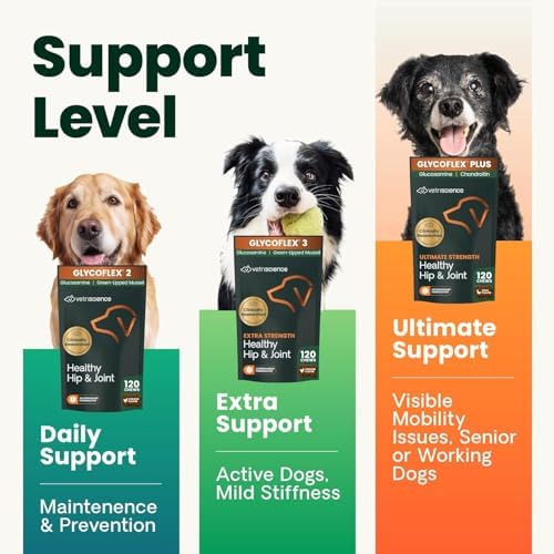 VetriScience Glycoflex 3 Clinically Proven Hip and Joint Supplement for Dogs - Maximum Strength Dog Supplement with Glucosamine, MSM, Green Lipped Mussel & DMG - 120 Count