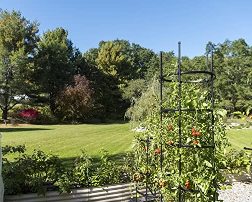 Gardener's Supply Company Titan Extra Tall Tomato Cages I Set of 3 - Sturdy Steel Core Plant Support Trellis for Vegetables & Climbing Plants