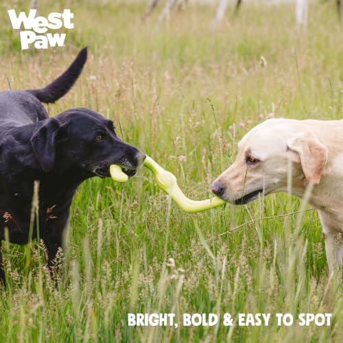 West Paw Zogoflex Bumi Dog Tug Toy – S-Shaped, Lightweight Chew Toys for Fetch, Play