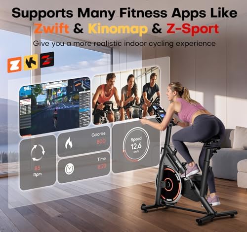 Exercise Bike, Adjustable Magnetic Resistance Stationary Bikes for Home with App Compatible