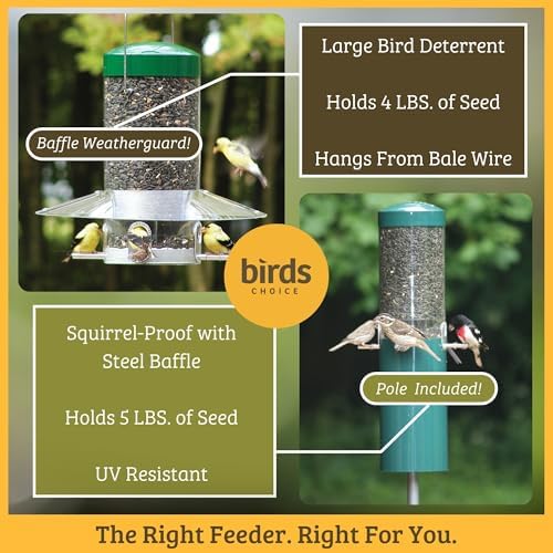 Birds Choice Classic Hanging Bird Feeder with Weatherguard Baffle | Squirrel Proof Bird Feeder for Cardinals, Chickadees