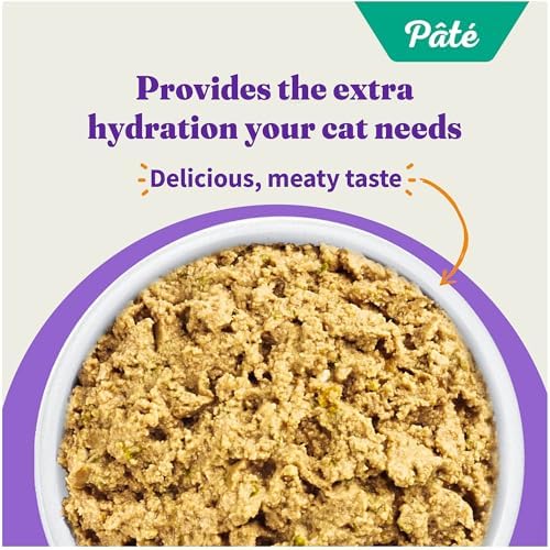 Halo Grain Free Soft Pate, Adult Cat Wet Food, Chicken in Broth Recipe, 5.5 oz, Case of 12