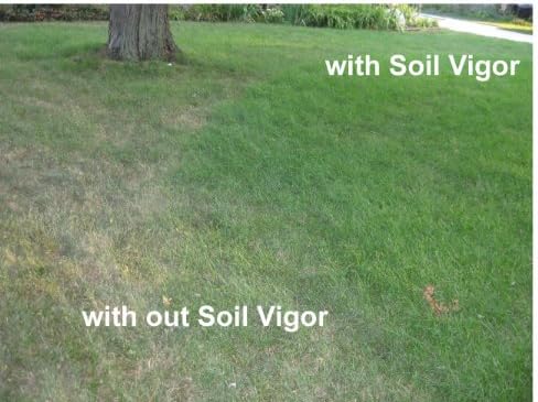 Organic Fertilizer Humic Acid with Potassium Based Super Absorbent Polymer for Lawn and Garden, Soil Vigor ™ 5 Pounds Bag (1)