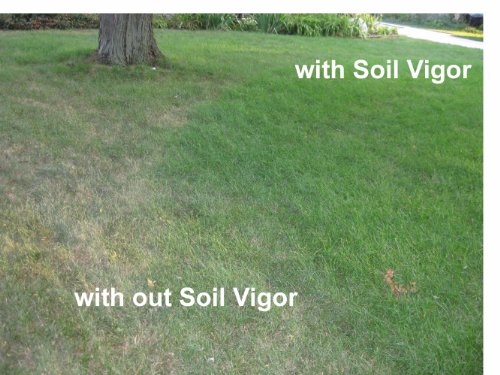 5 Pounds Soilmoisture Trap Super Absorbent Hydro Gel Granules Polymer with Humic Acid; Soil Vigor (Tm)