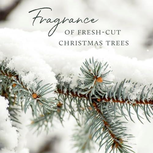 Thymes Frasier Fir Votive Candle Set of 3 - Scented Candles for Home - Luxury Home Fragrance Gifts for Women & Men - Home Decor (Pack of 3-2 Oz)