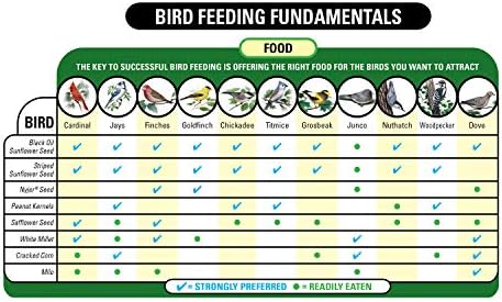 Wagner's 62032 Cardinal Blend Wild Bird Food, 6-Pound Bag
