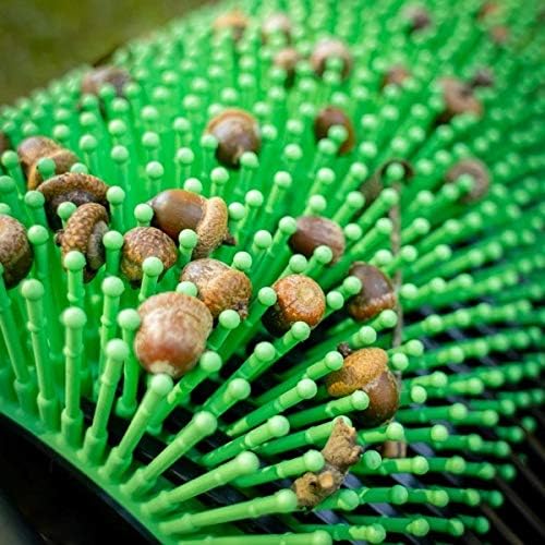 Bag-A-Nut 18" Push Acorn Harvester (Large - for Acorns 3/8" and Larger)