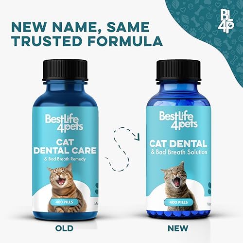 BestLife4Pets Cat Dental Care Supplement - 400 Pills