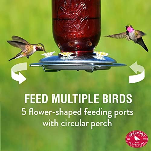 Perky-Pet Mason Jar Hummingbird Feeder, 32 oz Nectar Capacity | Vintage Style Glass Bird Feeder, 5 Flower Feeding Ports, Outdoor Garden Backyard Wildlife