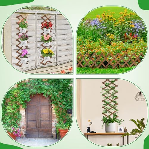 2Pcs 13x78 Expandable Wood Wall Trellis for Climbing Plants Outdoor/Indoor