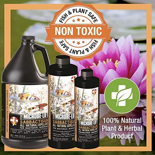 MICROBE-LIFT Sabbactisun Disease Treatment for Ponds and Outdoor Water Gardens, Disease Expellant for Pond Fish, 16 Fl Oz