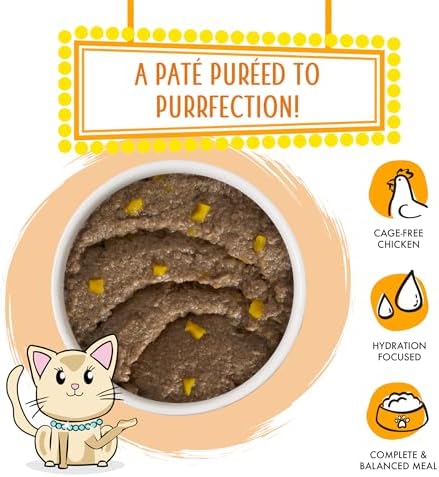 Weruva Wet Cat Food, Who Wants to be a Meowionaire with Chicken and Pumpkin Pate, 3oz Can, Pack of 12