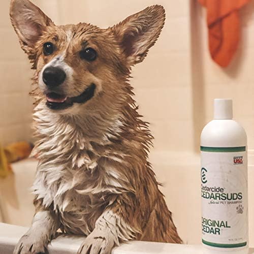Cedar Suds Pet Shampoo Original Cedar Scent (Pint (16oz))
