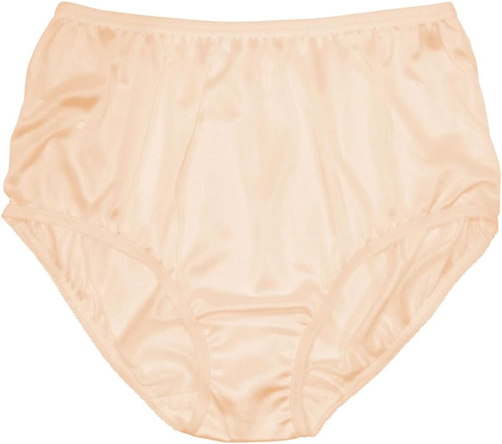 Teri Women's 331 Plain Jane Classic Nylon Silky-Smooth Lightweight Breathable Full Coverage Brief Panty - 4 Pack