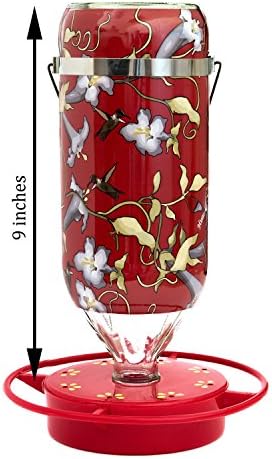 Hummer's Galore Hummingbird Feeders for Outdoors Hanging, Glass, 32 OZ, Vine Design