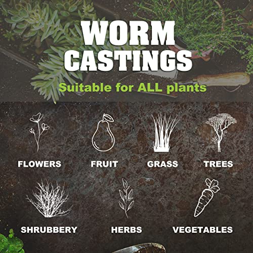 20 oz 100% Organic Worm Castings – Natural Superfood for Plant Growth, Root Development & Growing Healthier