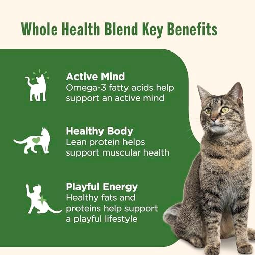 Nutrish Grain Free Chicken Purrcata Wet Cat Food, 2.8 oz. Cup (Rachael Ray) | Pack of 12, Made with Real Shredded White Meat Chicken in Sauce