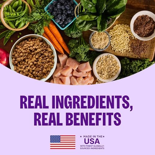 Wellness Complete Health Large Breed Puppy Dry Dog Food, Wholesome Grain Kibble, Natural, Chicken, Brown Rice and Salmon Meal Recipe, 30 lb Bag